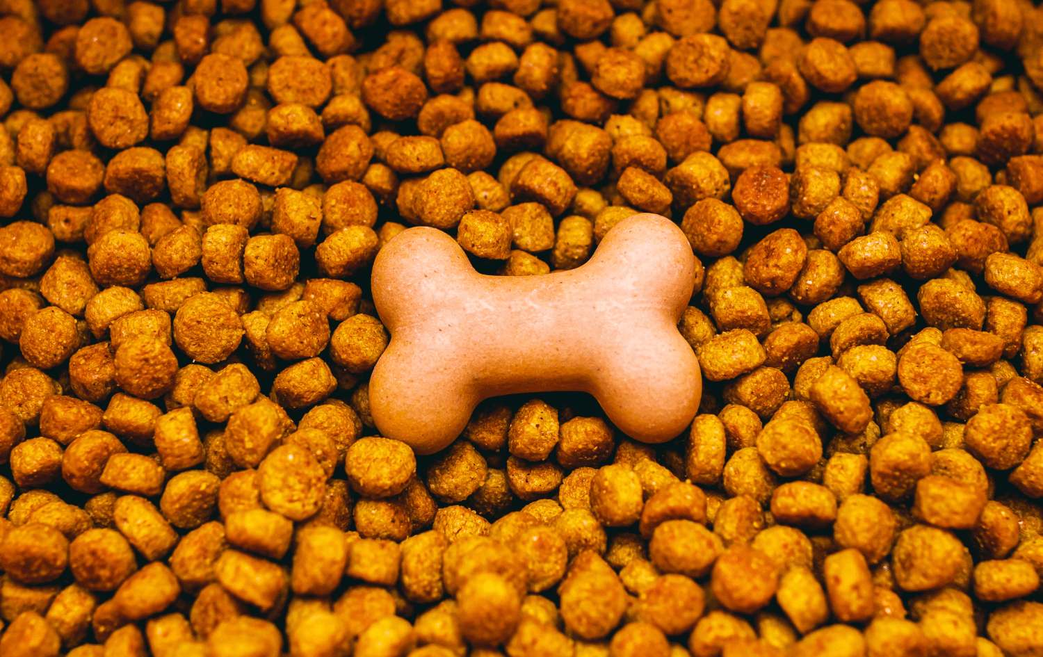 You are currently viewing Croquettes Canines : Dépensez Moins, Nourrissez Mieux